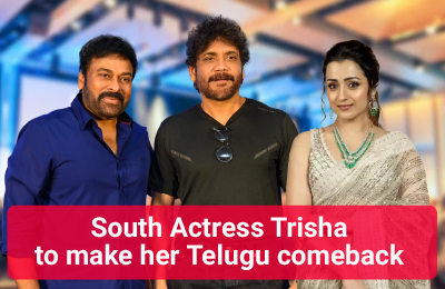 https://timesmonkey.com/south-actress-trisha-make-her-bollywood-comeback/